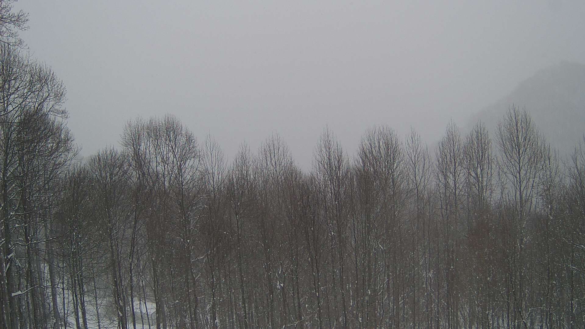 click for next image... slideshow image