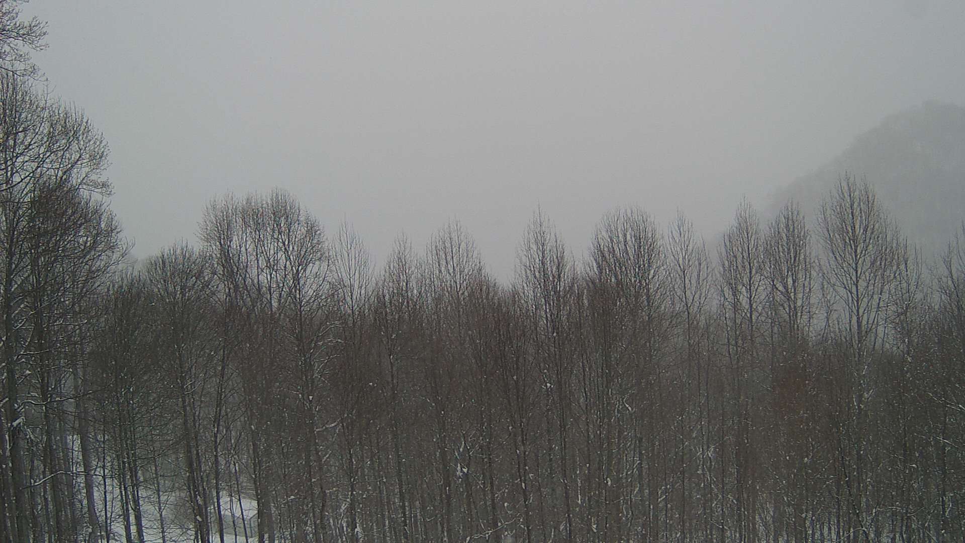 click for next image... slideshow image