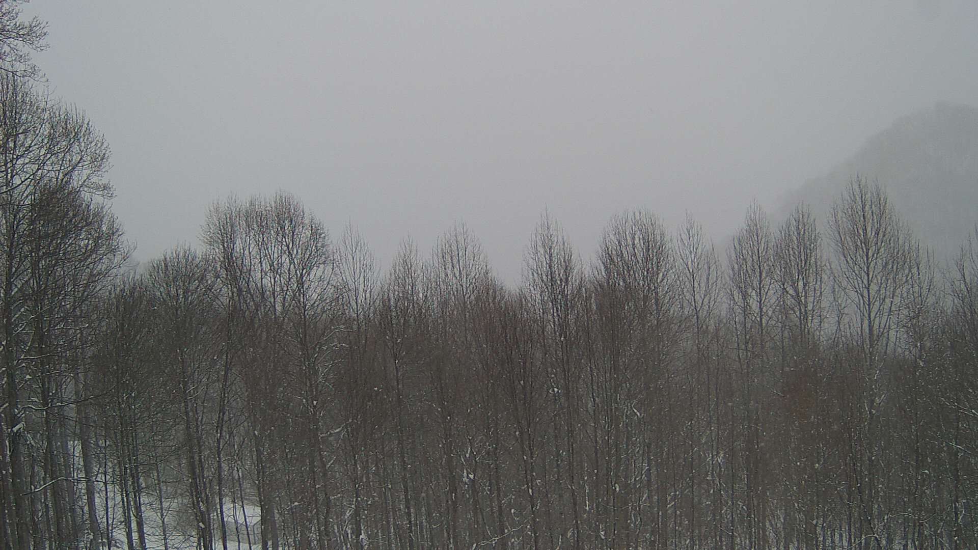 click for next image... slideshow image