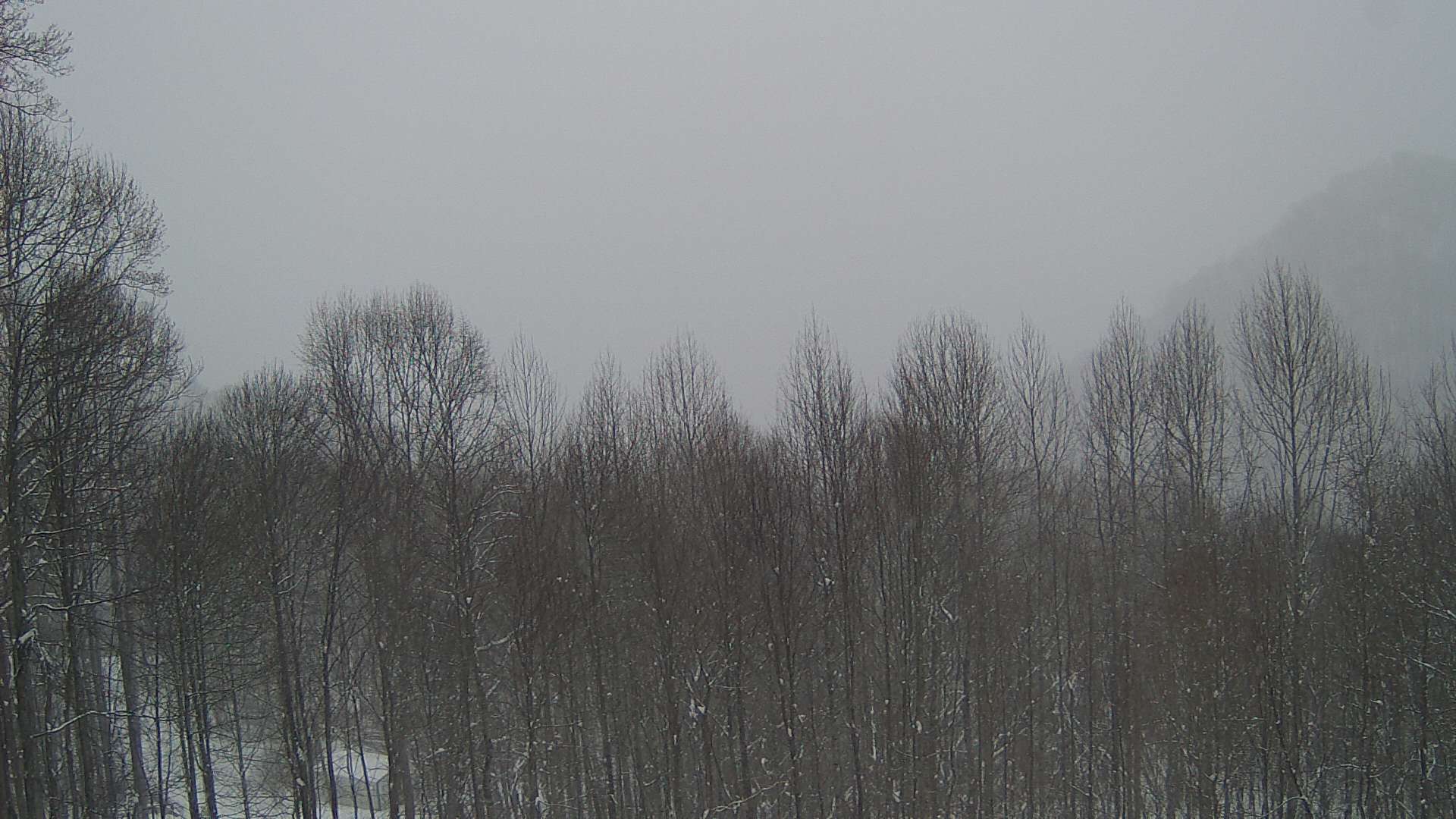 click for next image... slideshow image