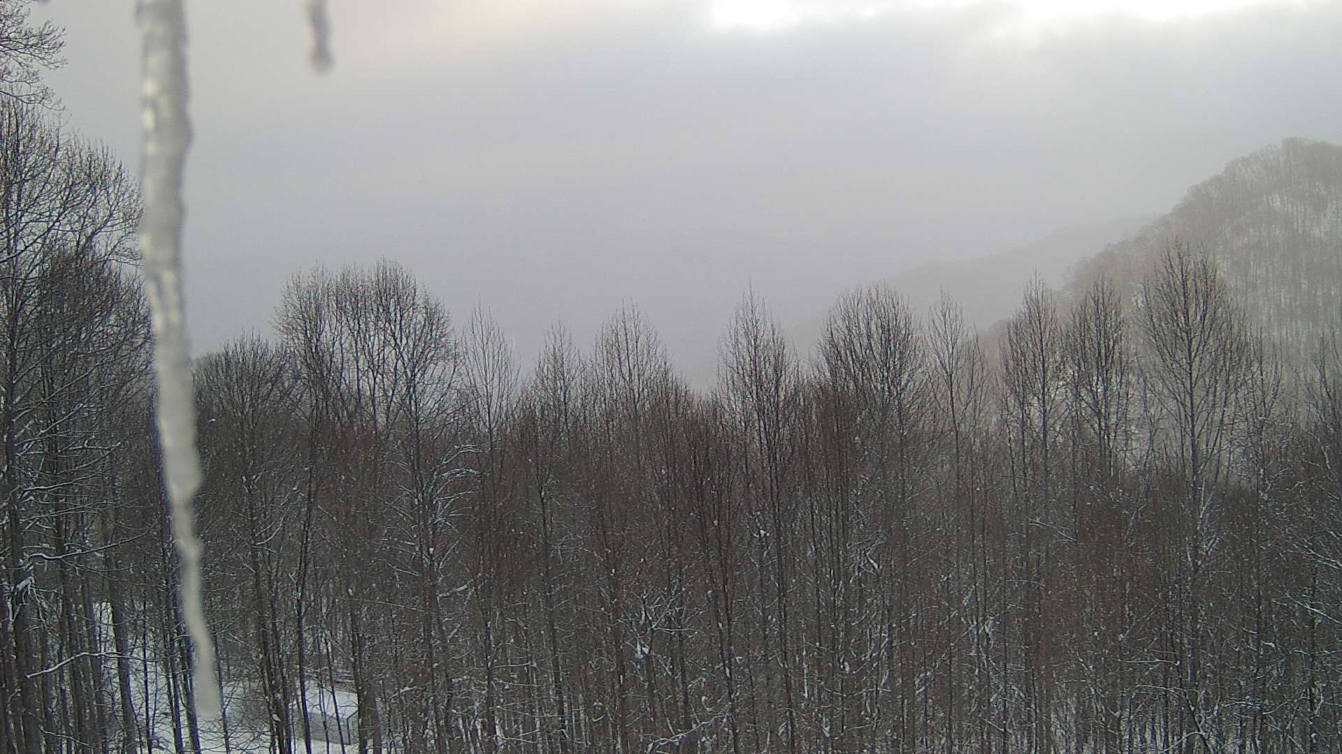 click for next image... slideshow image