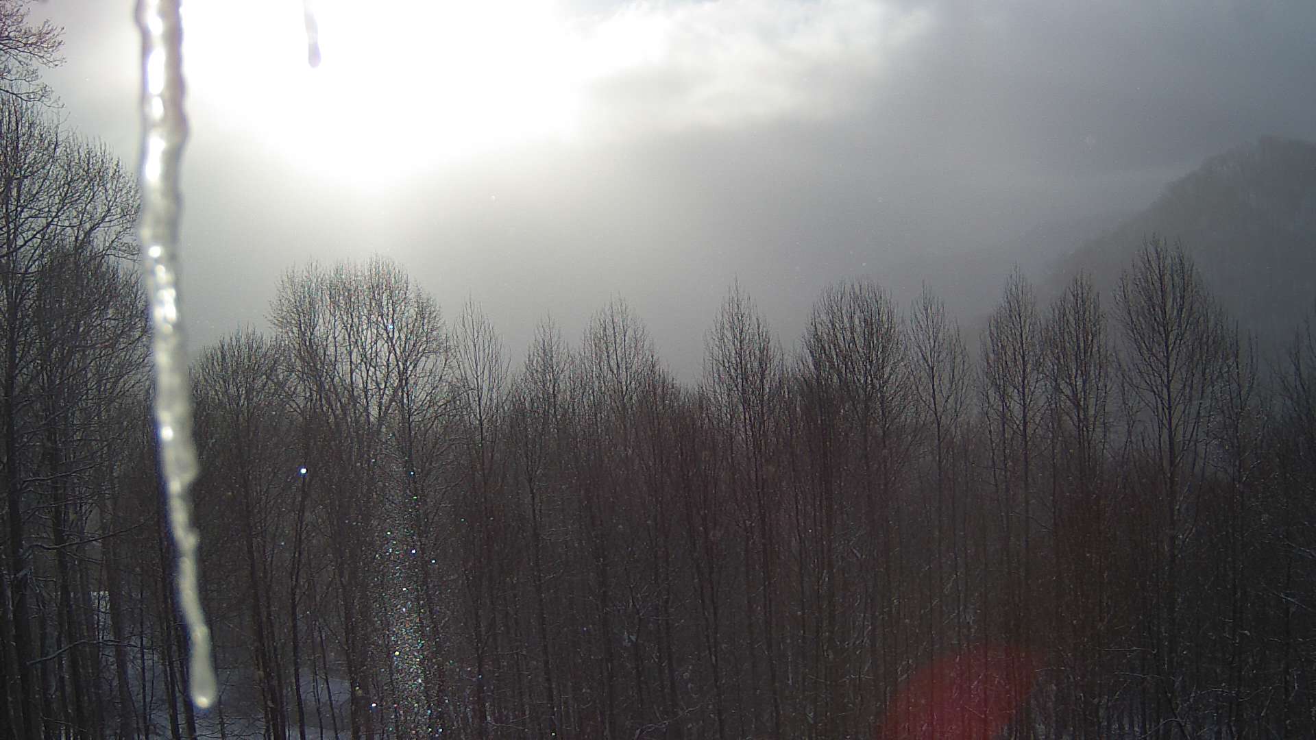 click for next image... slideshow image