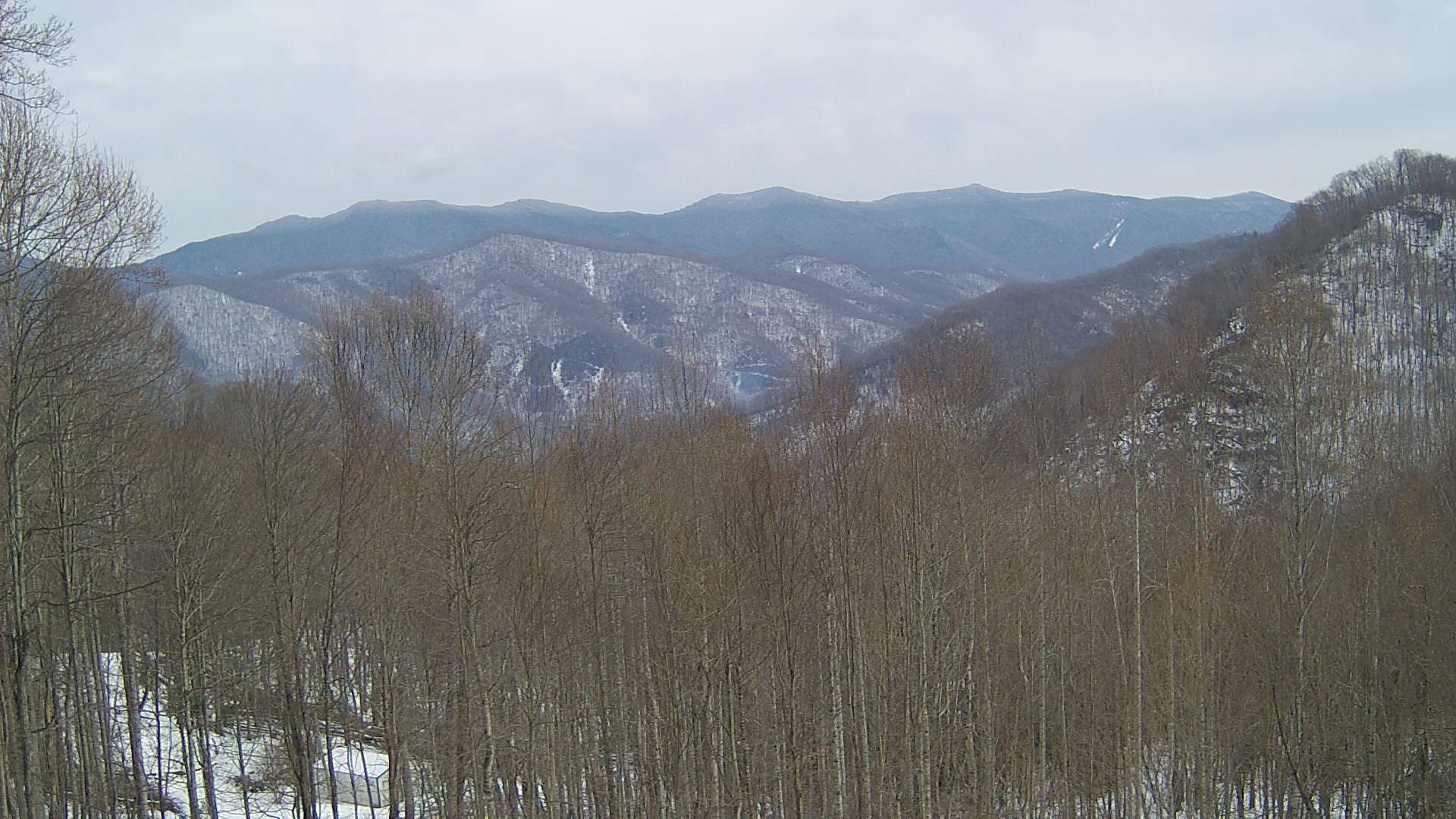 click for next image... slideshow image