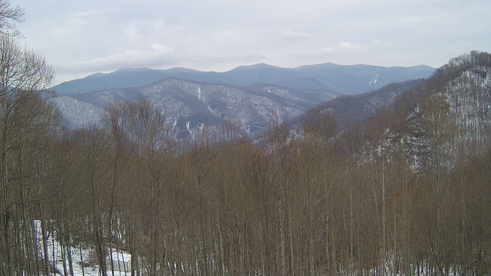 click for next image... slideshow image