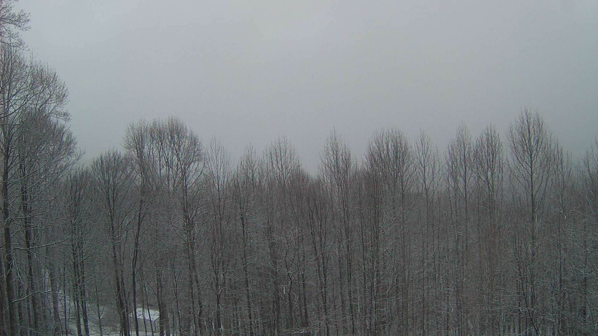 click for next image... slideshow image