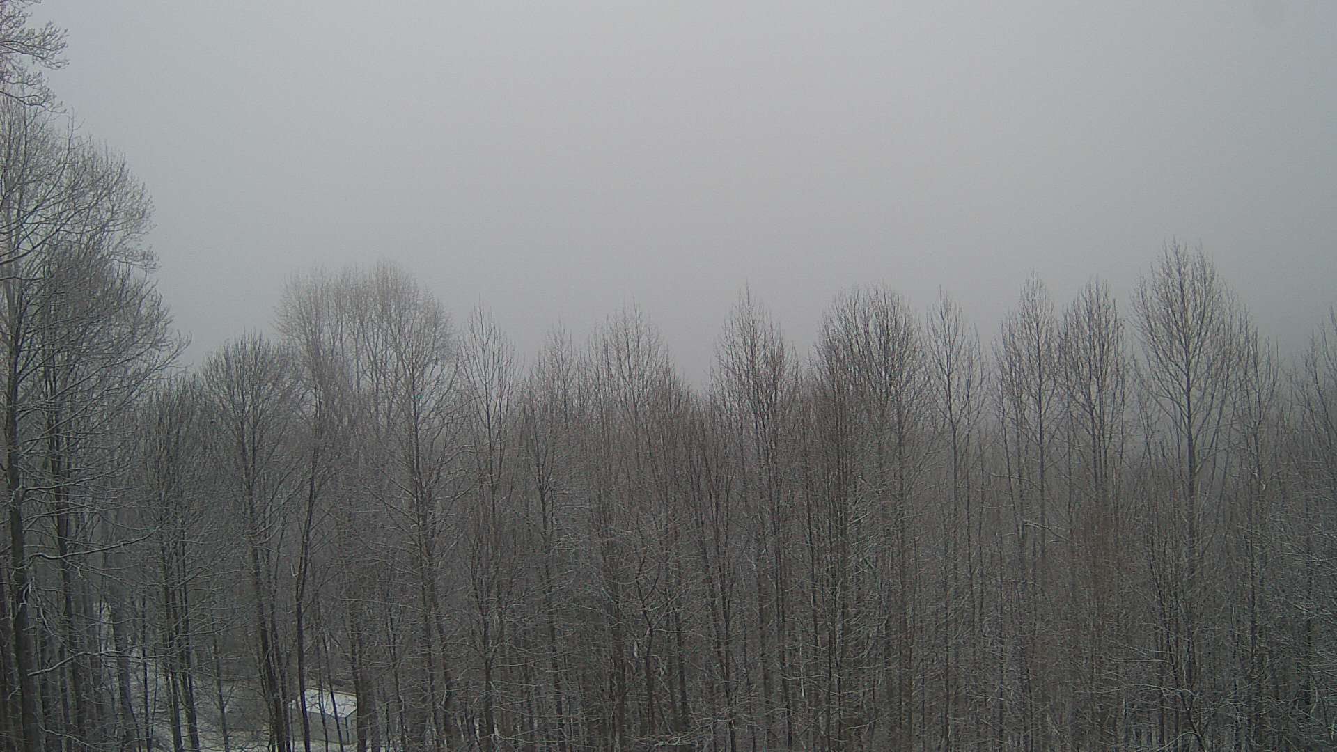 click for next image... slideshow image