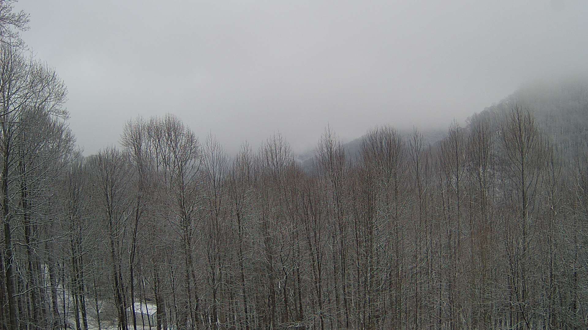 click for next image... slideshow image