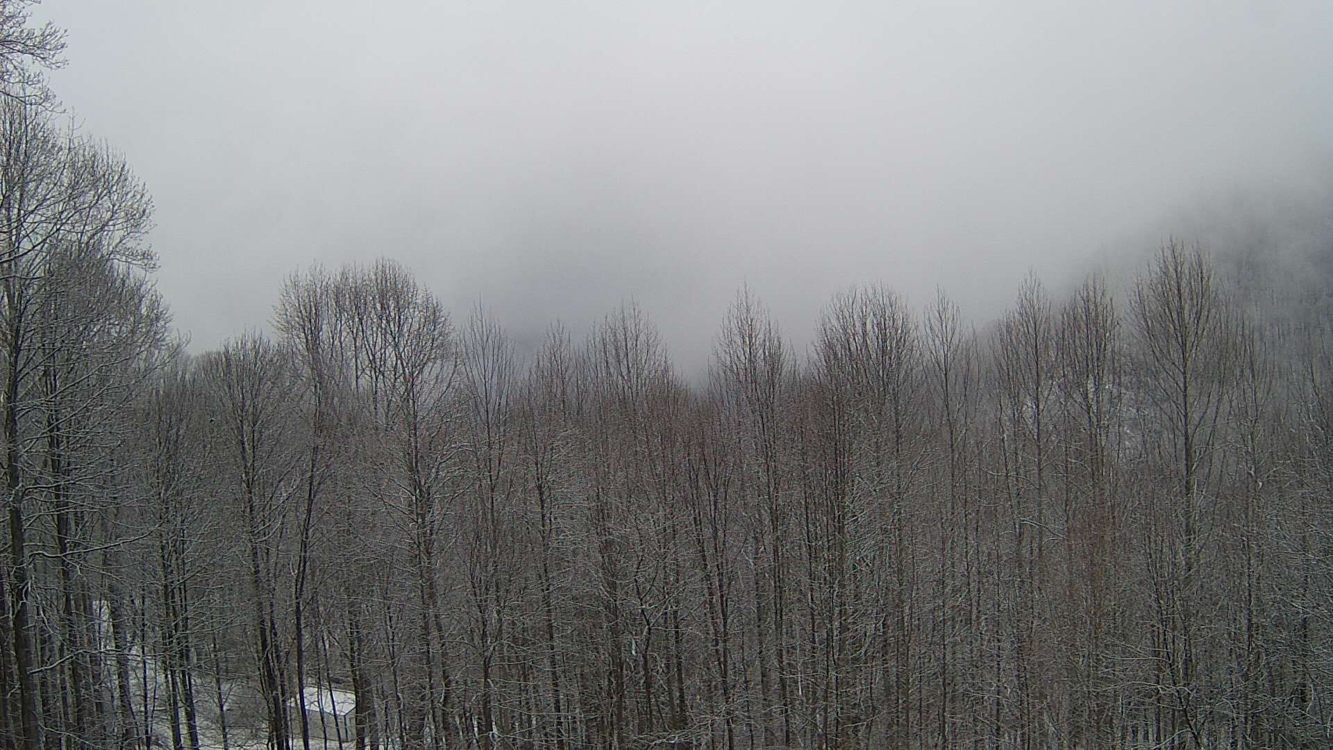 click for next image... slideshow image