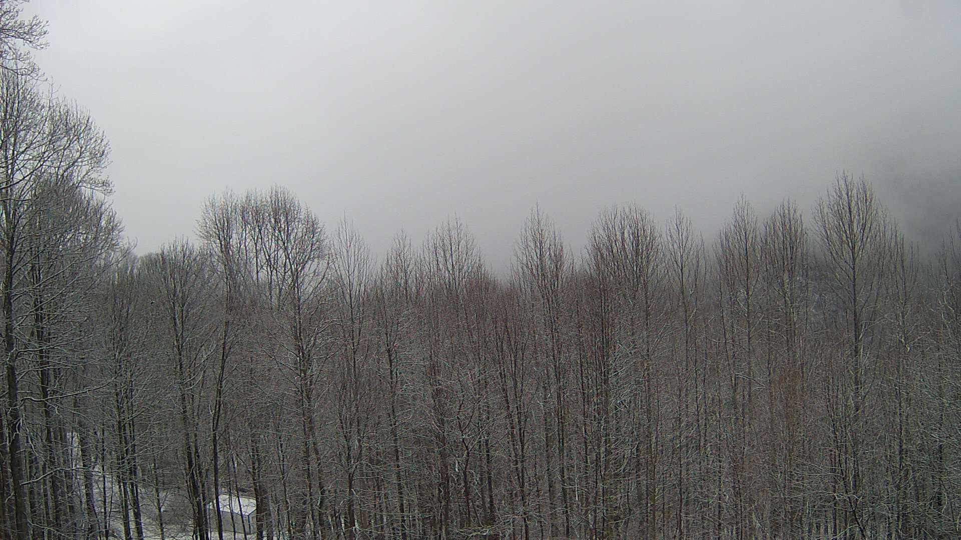 click for next image... slideshow image