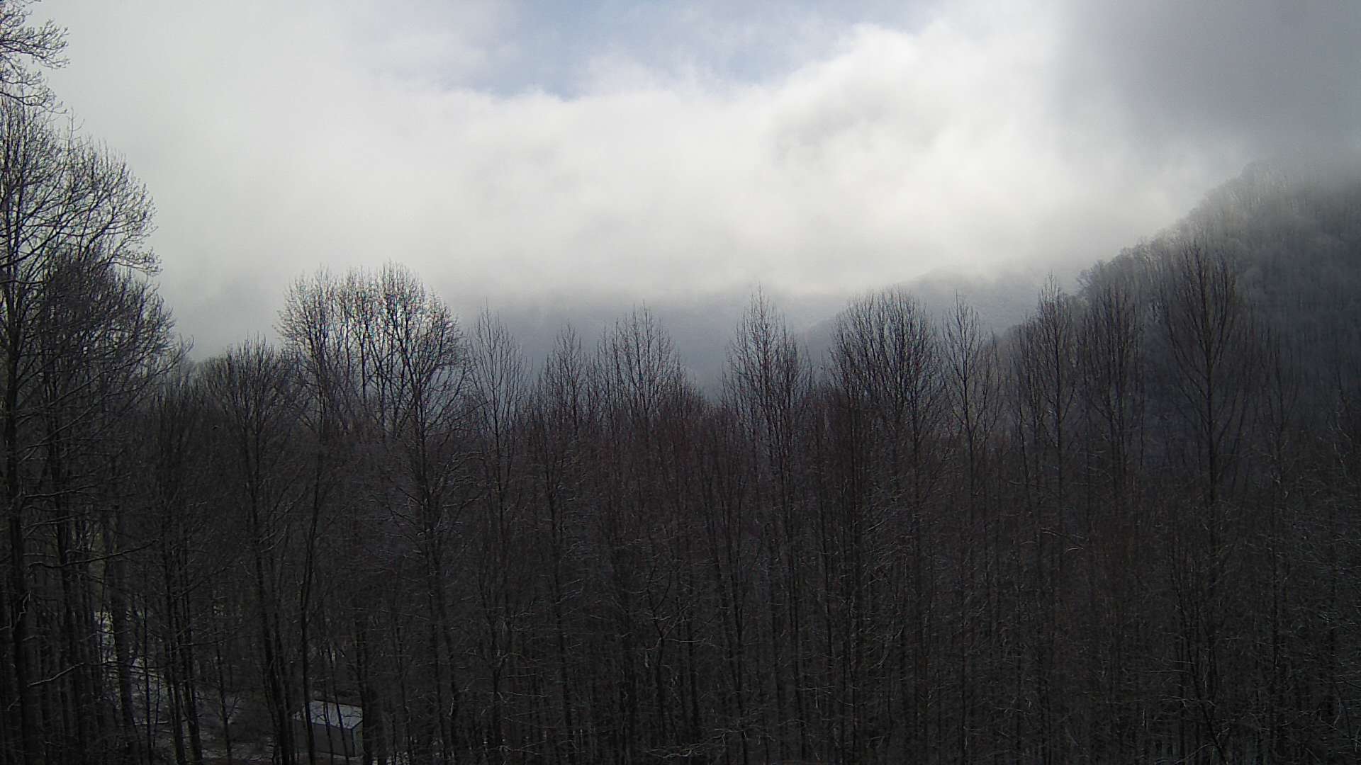 click for next image... slideshow image