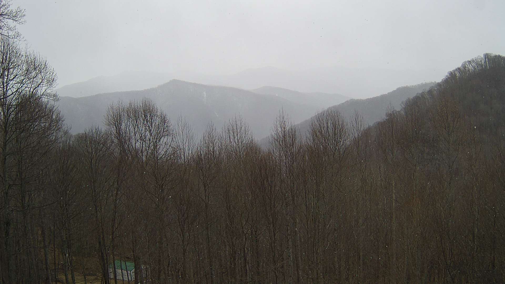 click for next image... slideshow image