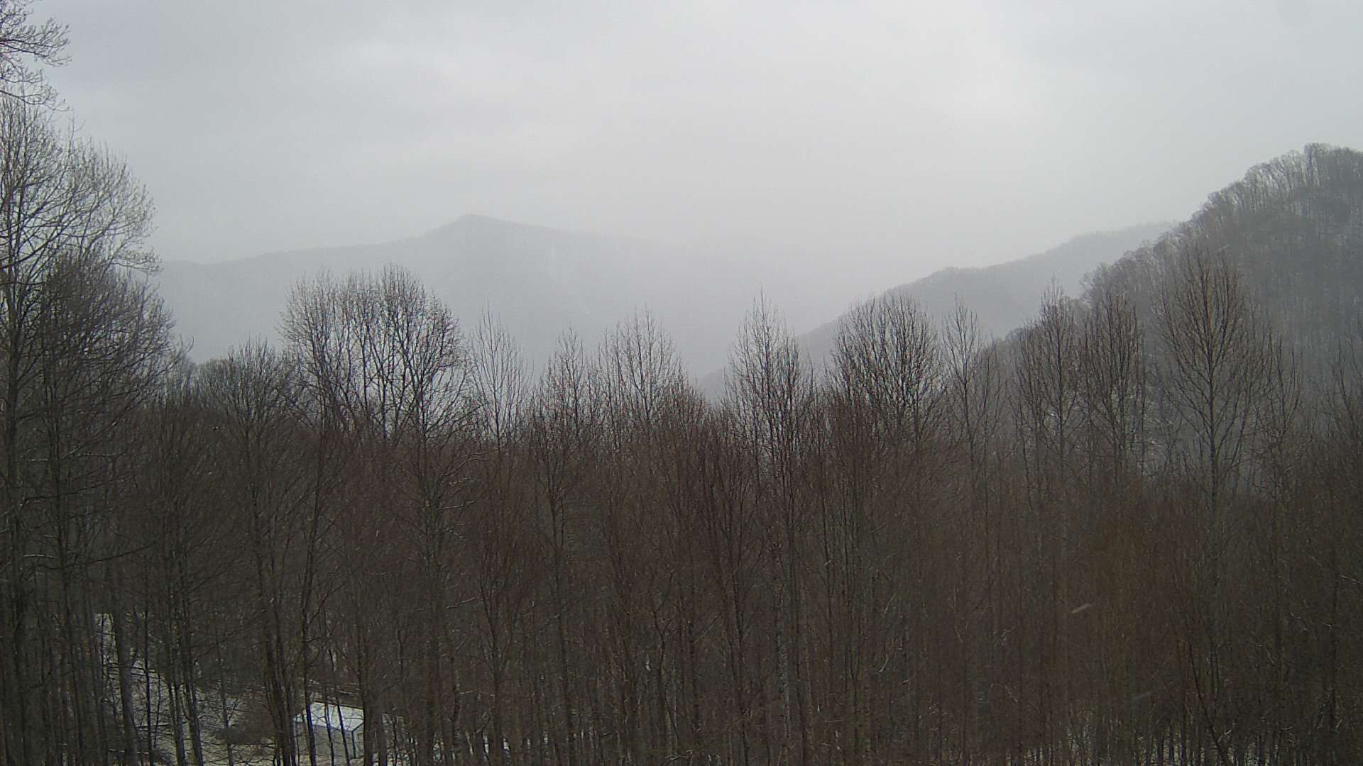 click for next image... slideshow image