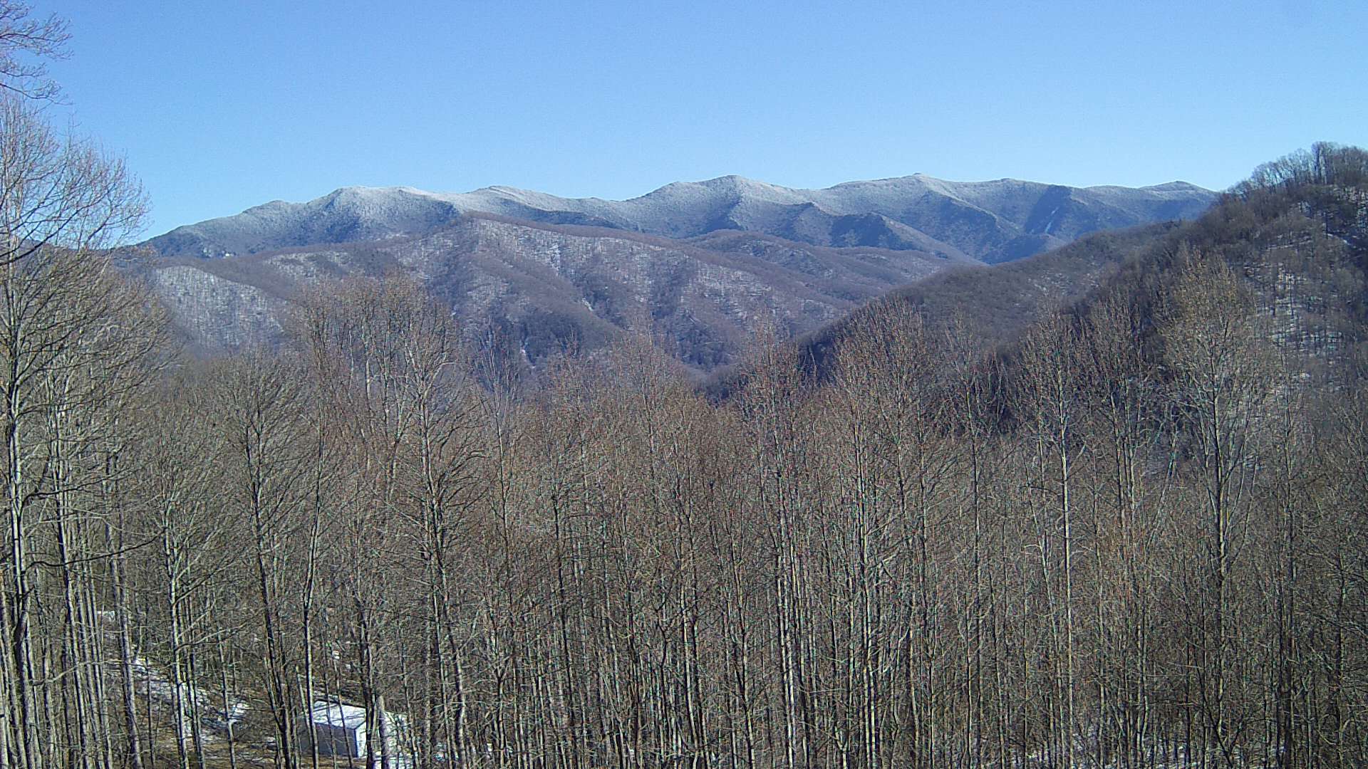 click for next image... slideshow image