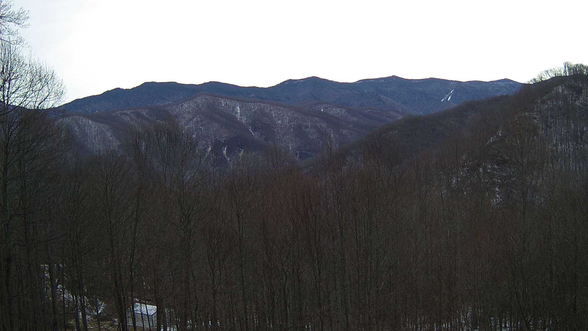 click for next image... slideshow image