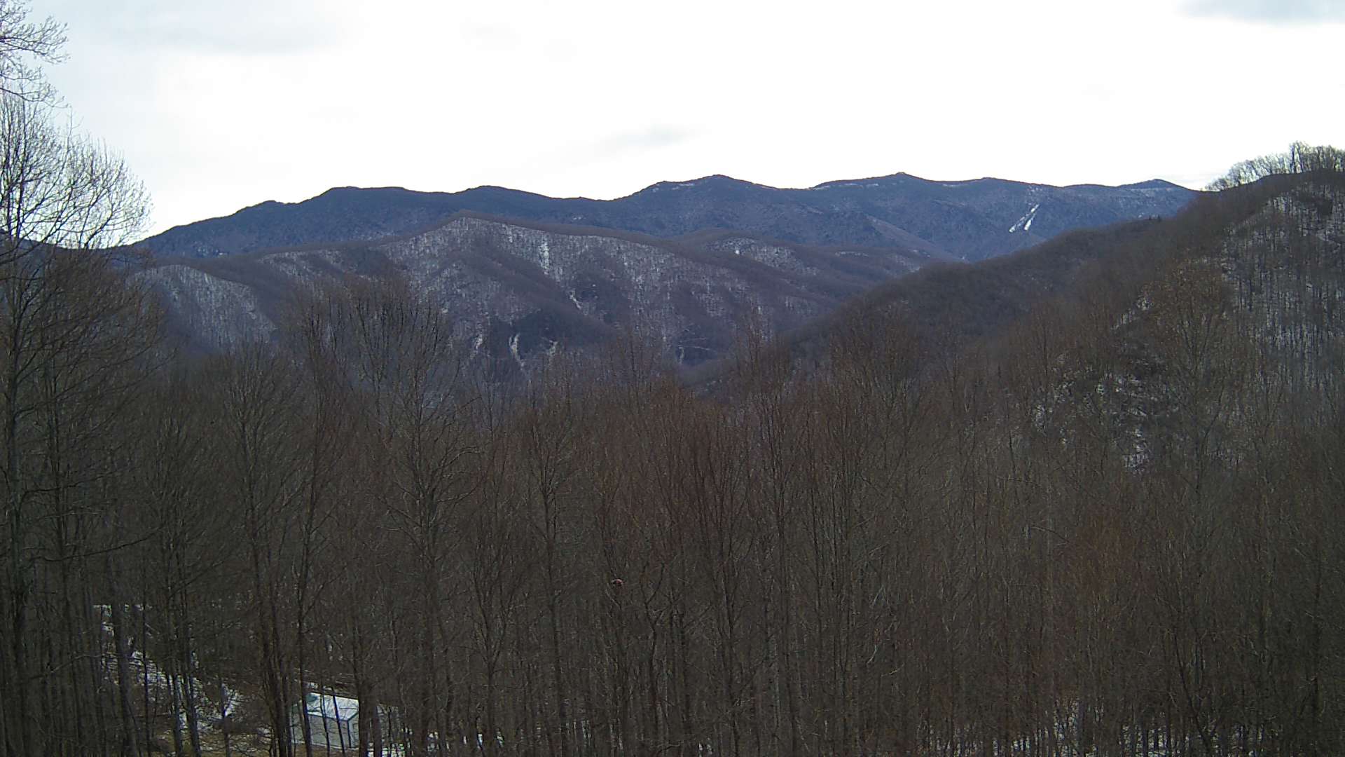 click for next image... slideshow image