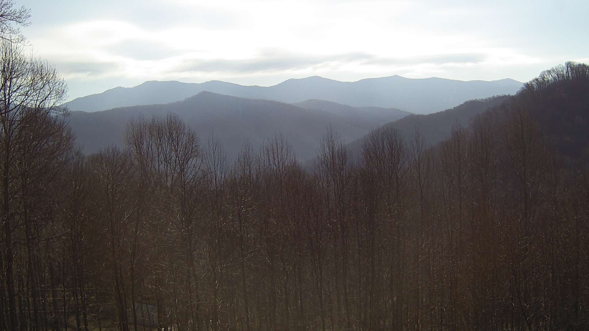 click for next image... slideshow image