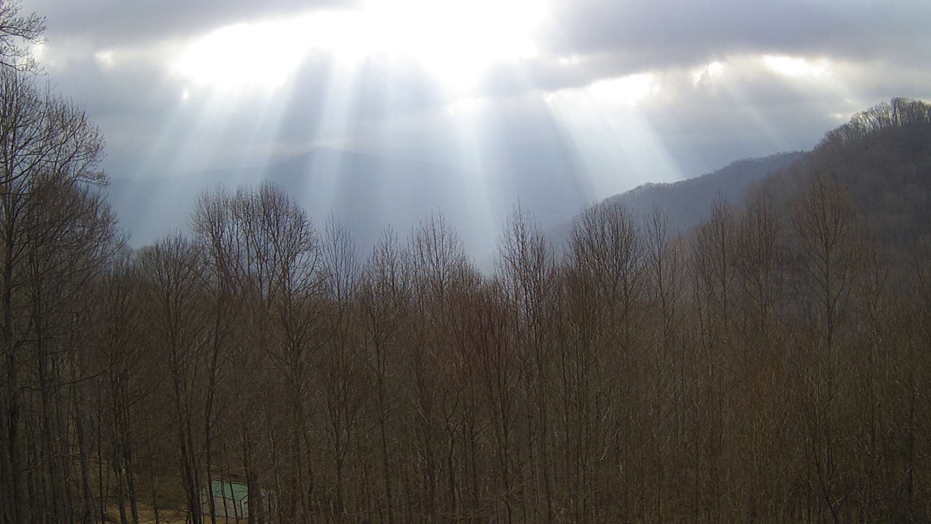 click for next image... slideshow image