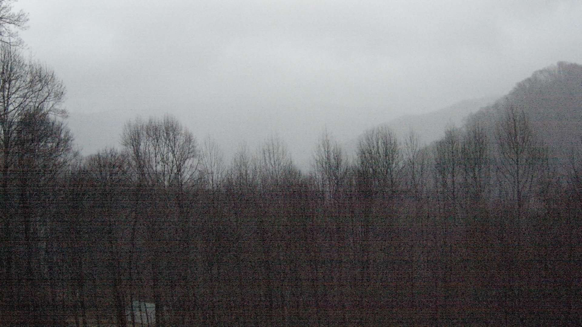 click for next image... slideshow image