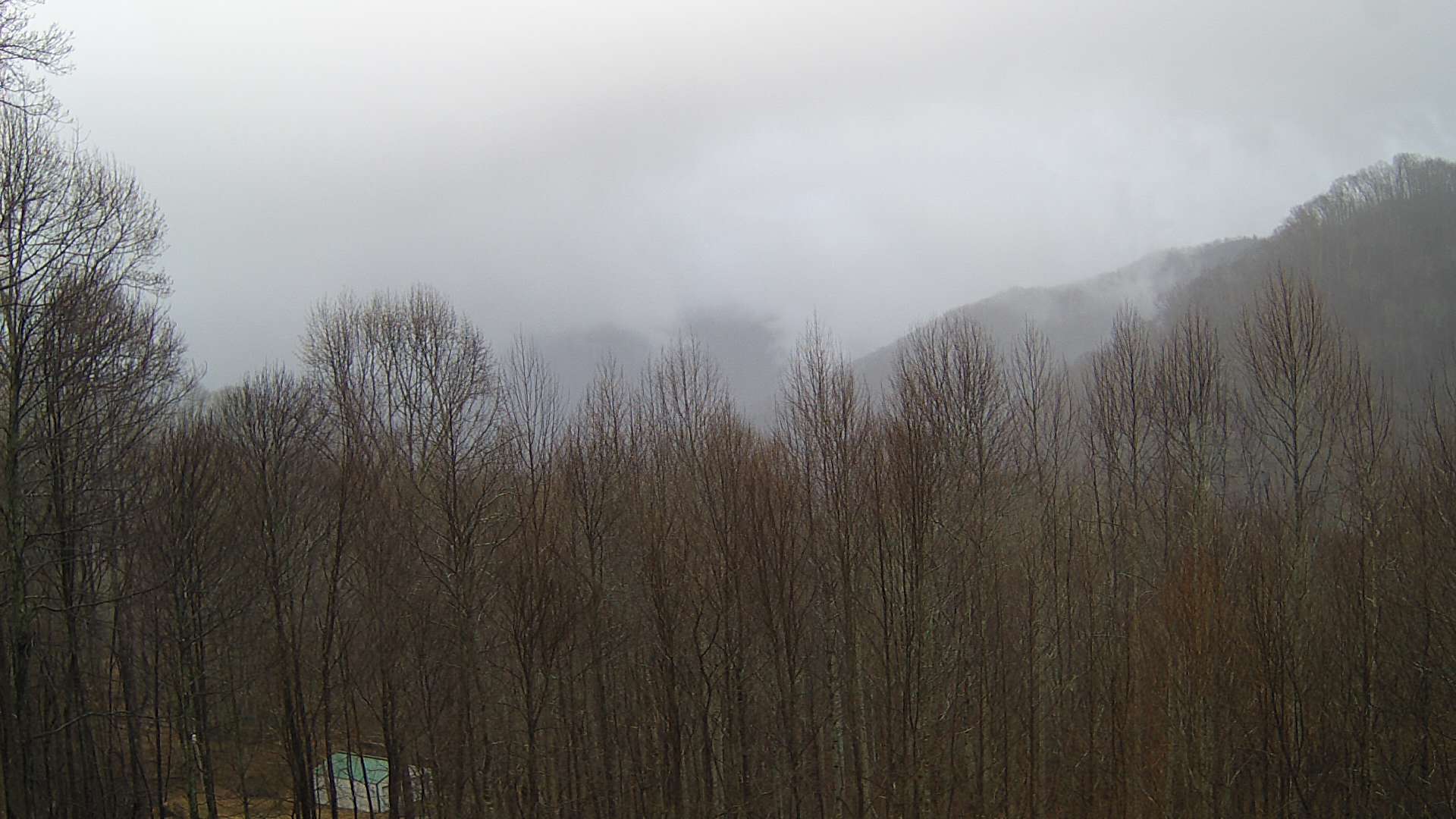 click for next image... slideshow image