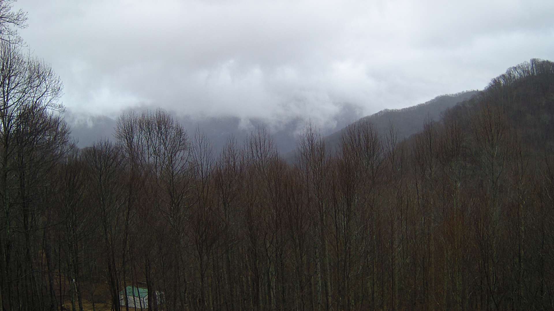 click for next image... slideshow image