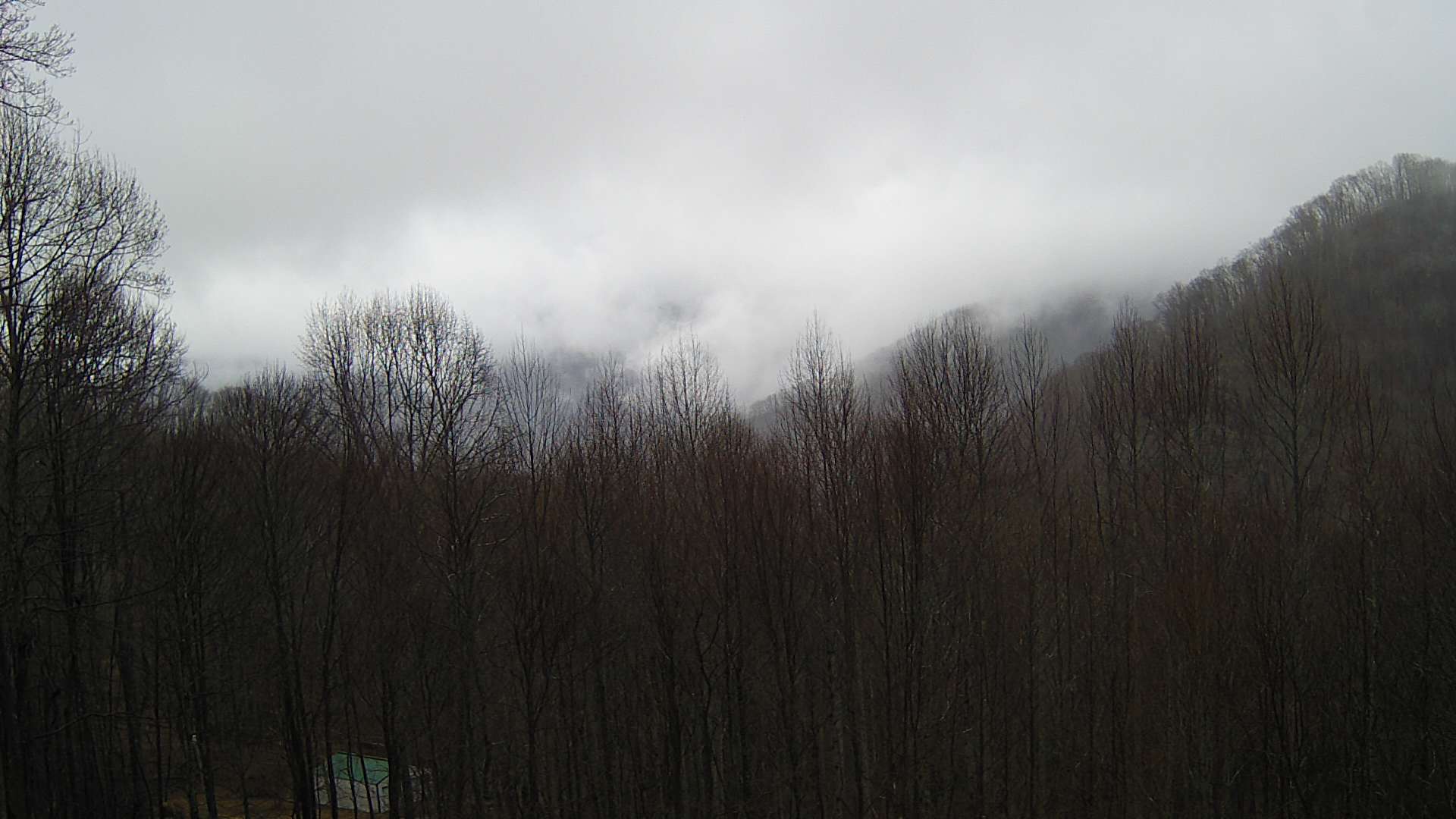 click for next image... slideshow image