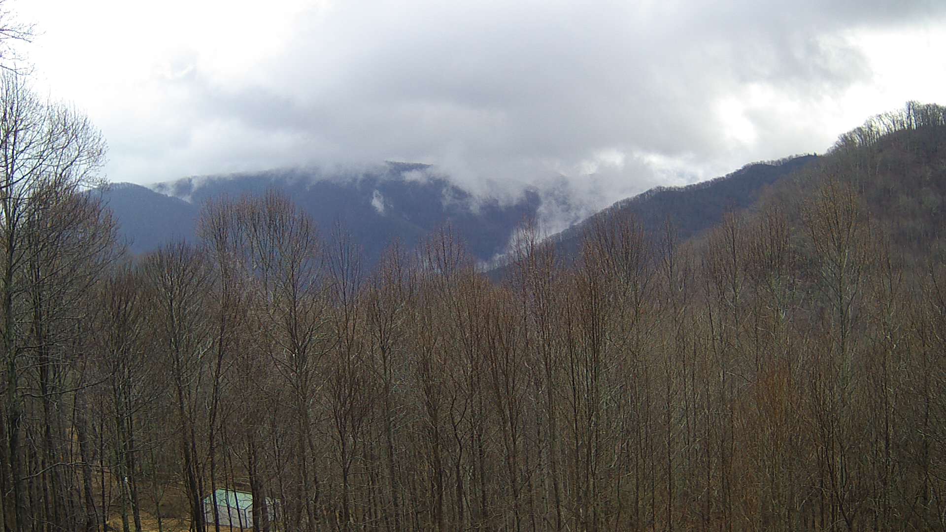 click for next image... slideshow image