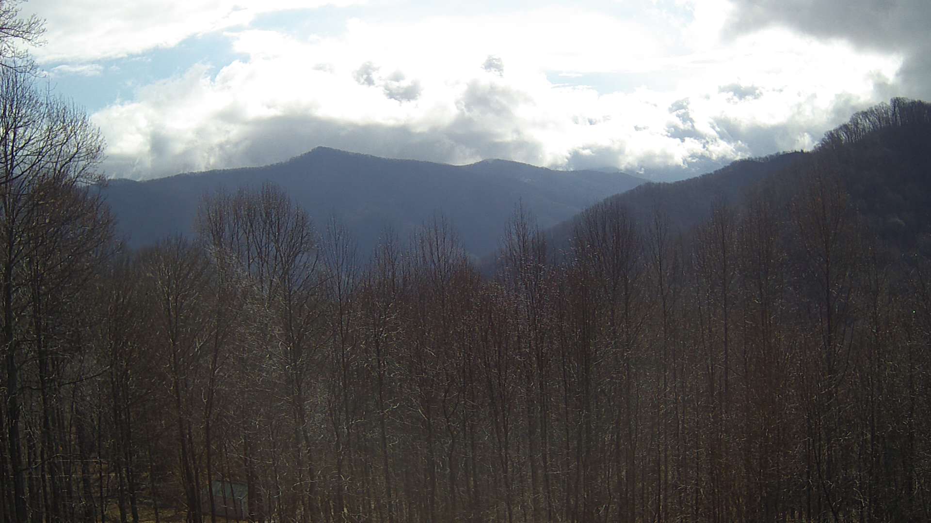 click for next image... slideshow image