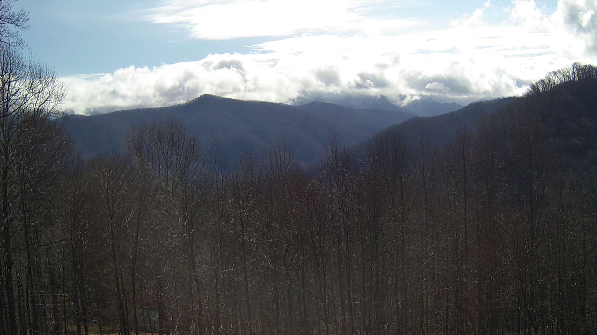 click for next image... slideshow image