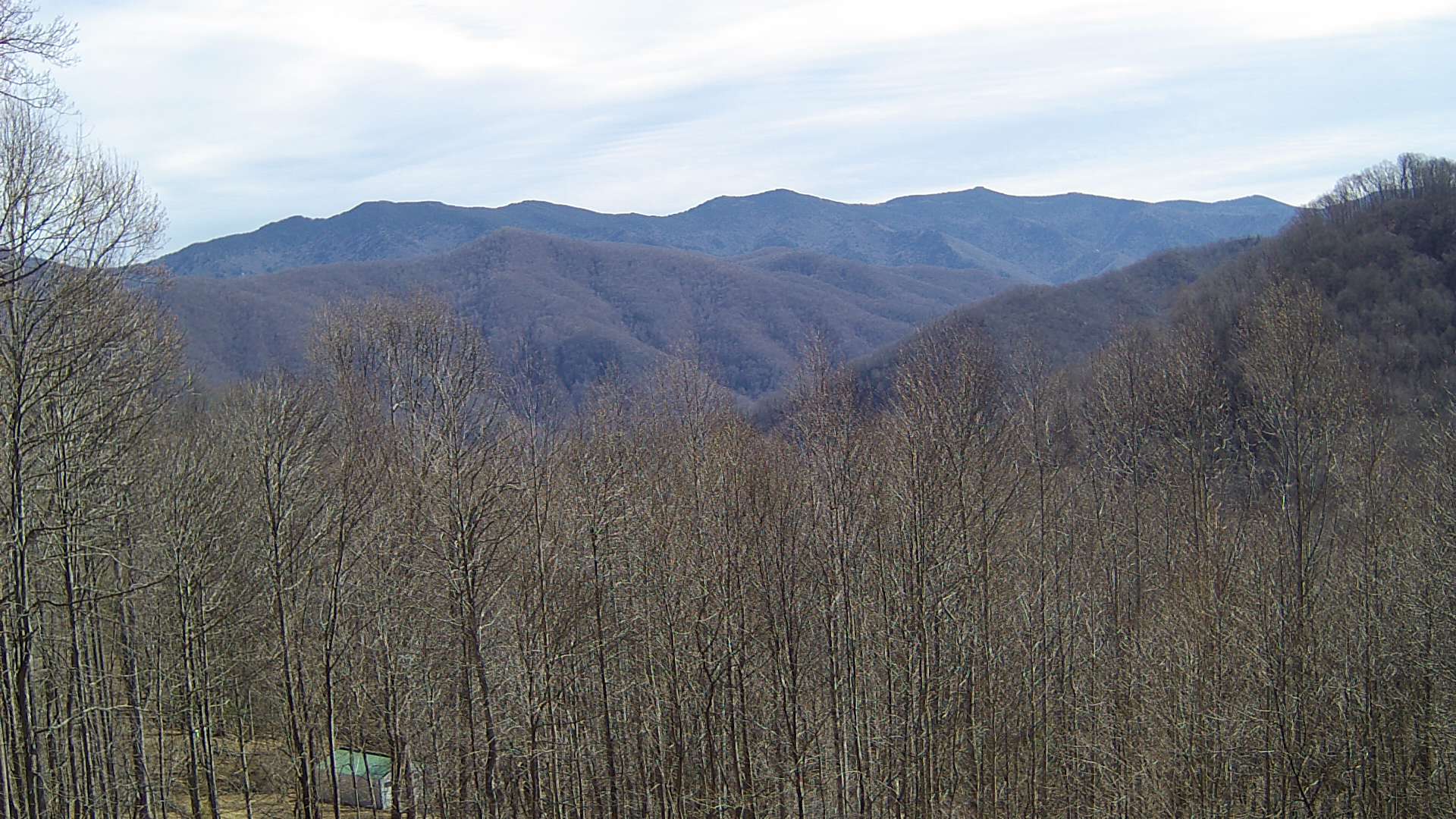 click for next image... slideshow image