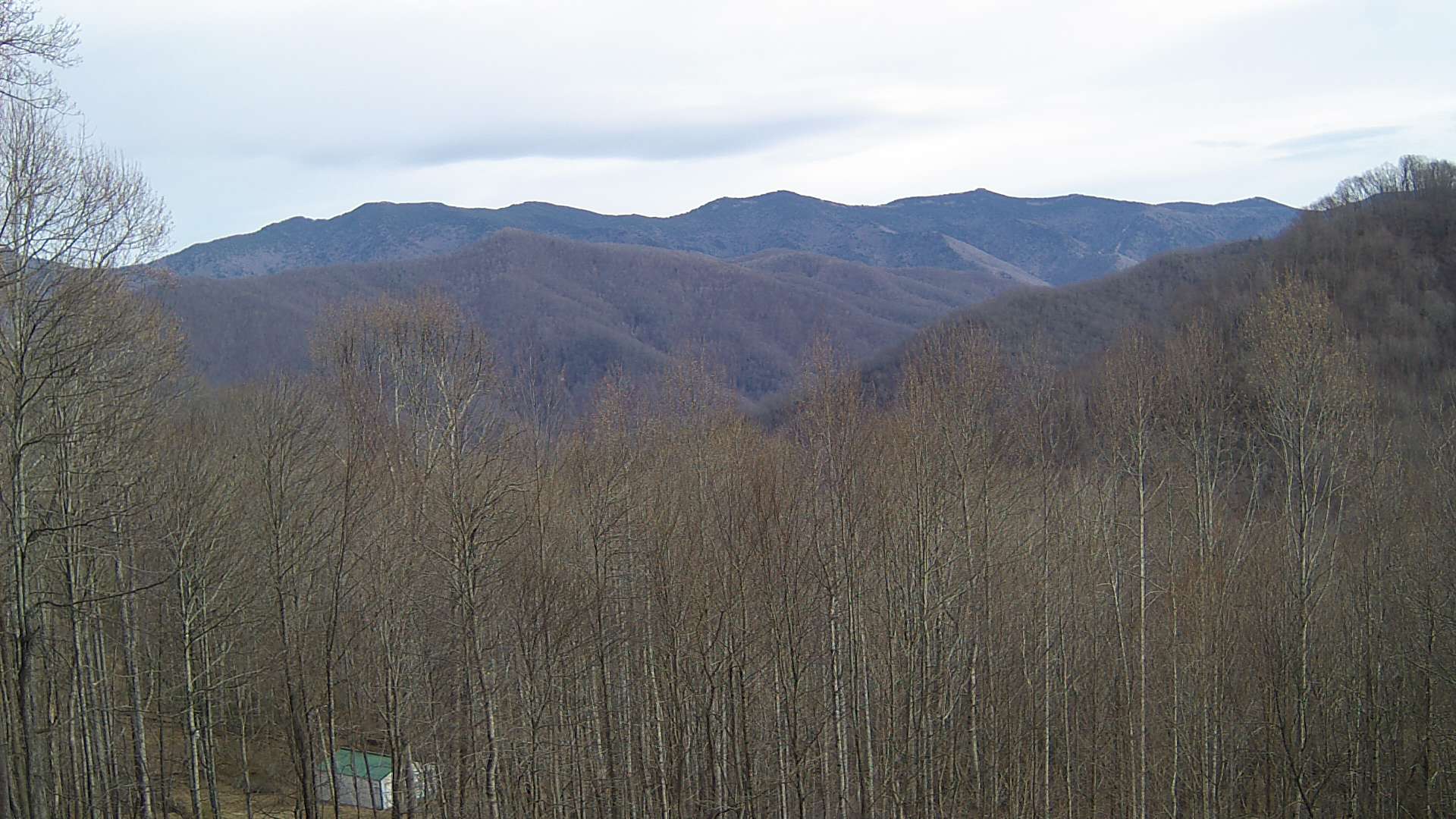 click for next image... slideshow image