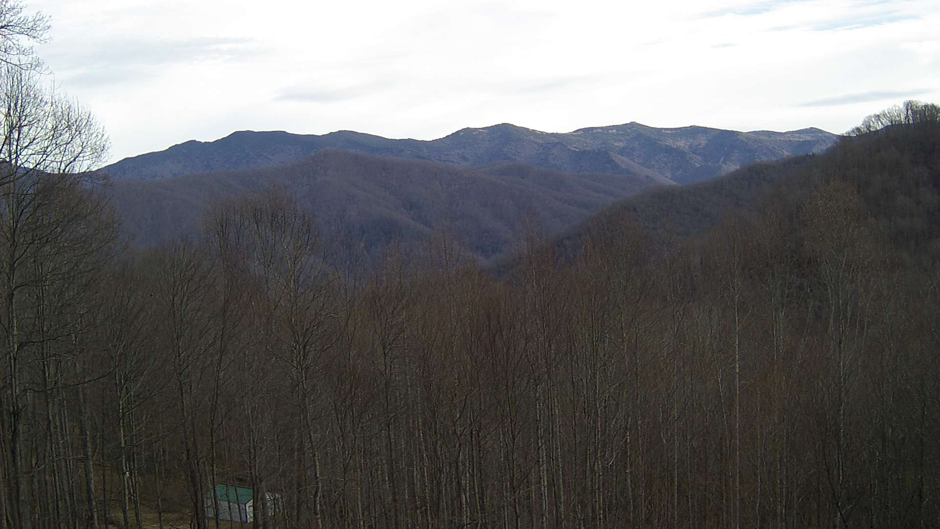 click for next image... slideshow image