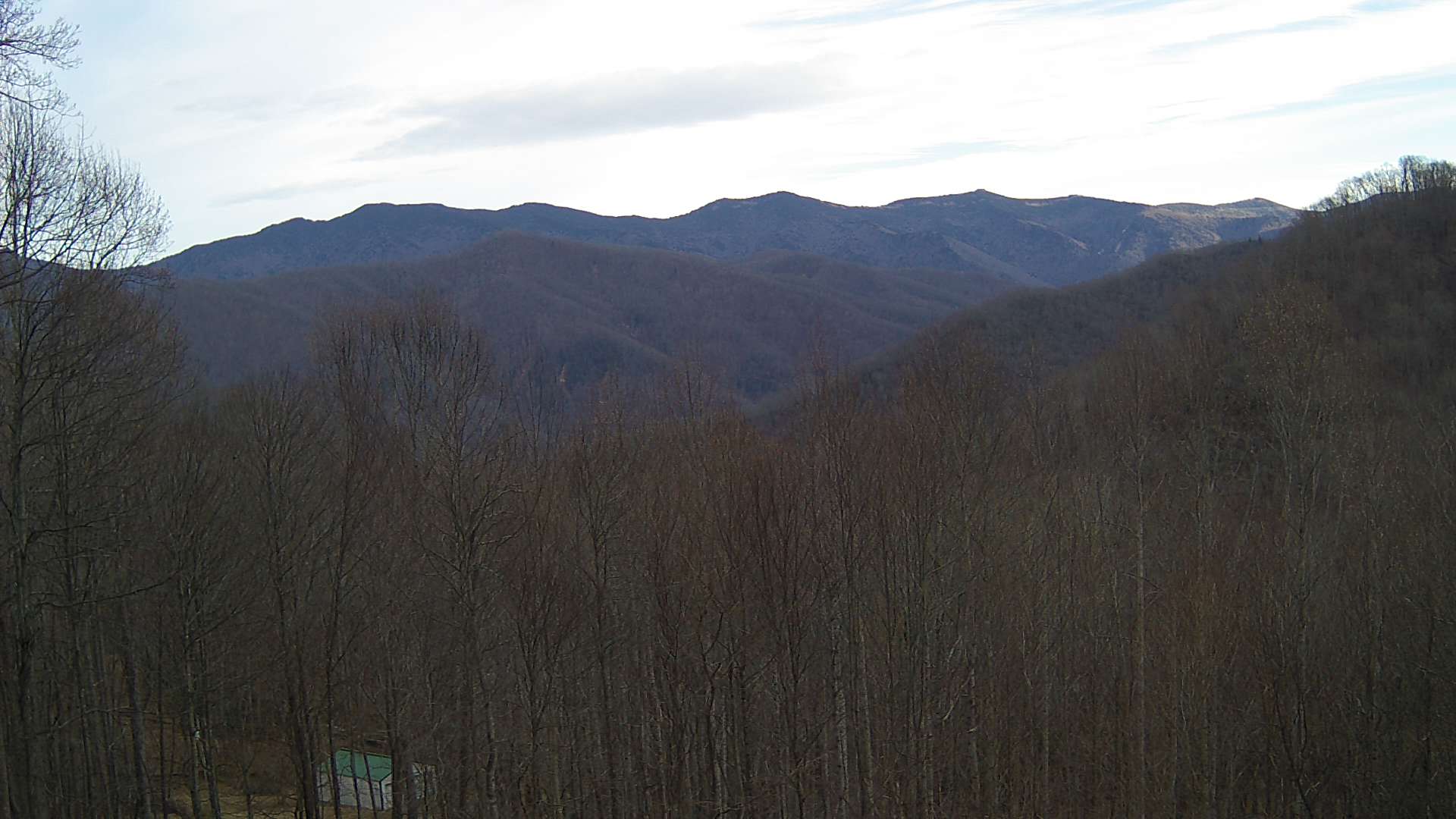 click for next image... slideshow image