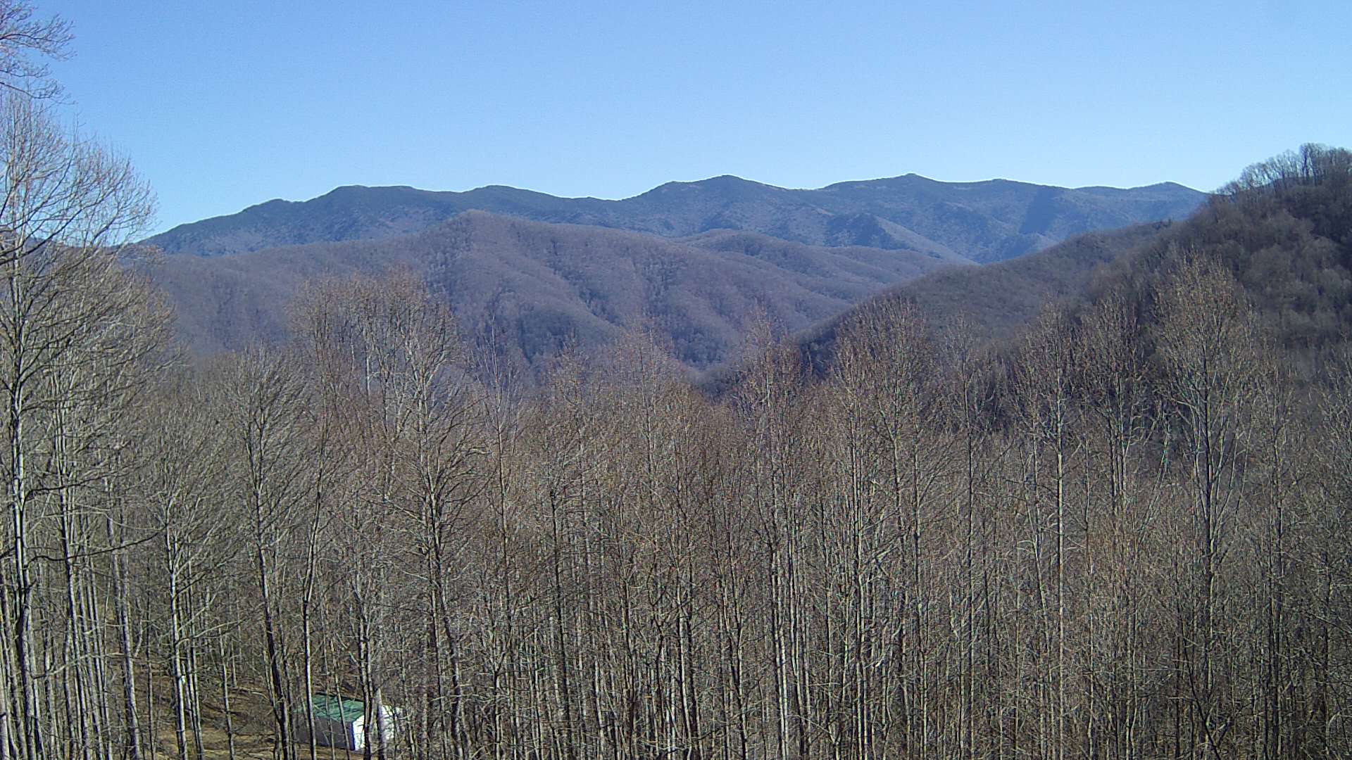 click for next image... slideshow image