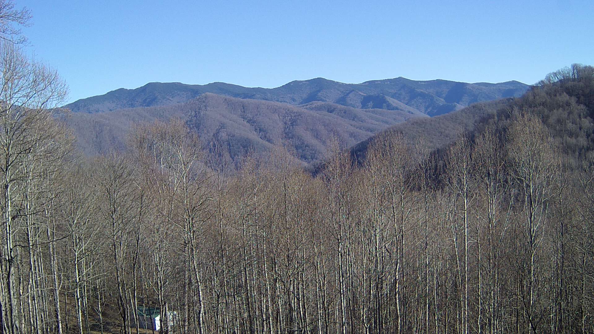 click for next image... slideshow image