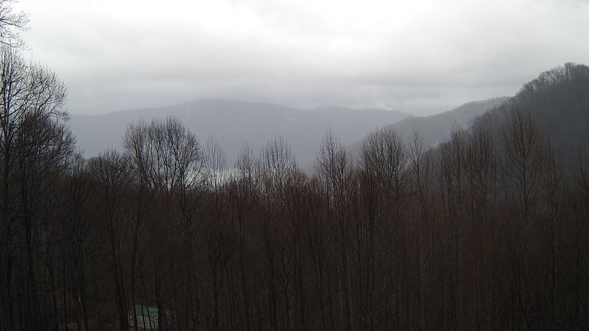 click for next image... slideshow image