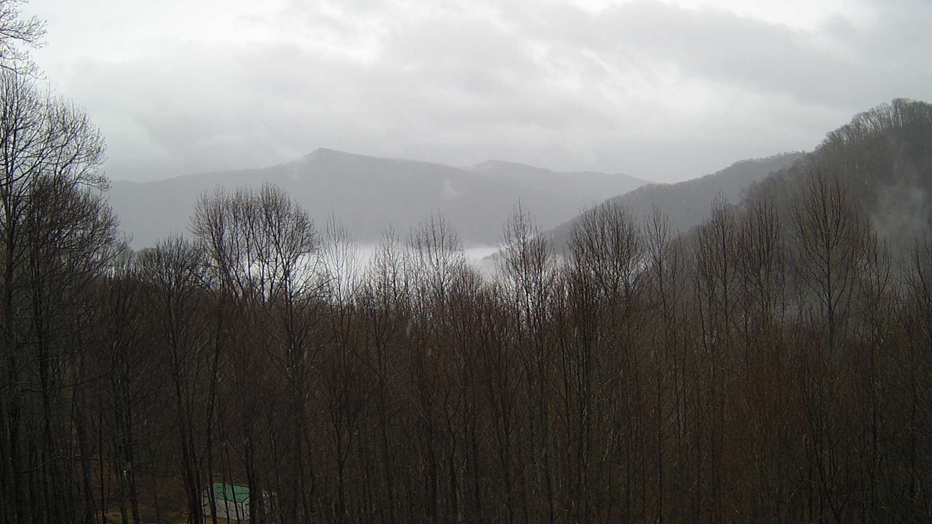 click for next image... slideshow image