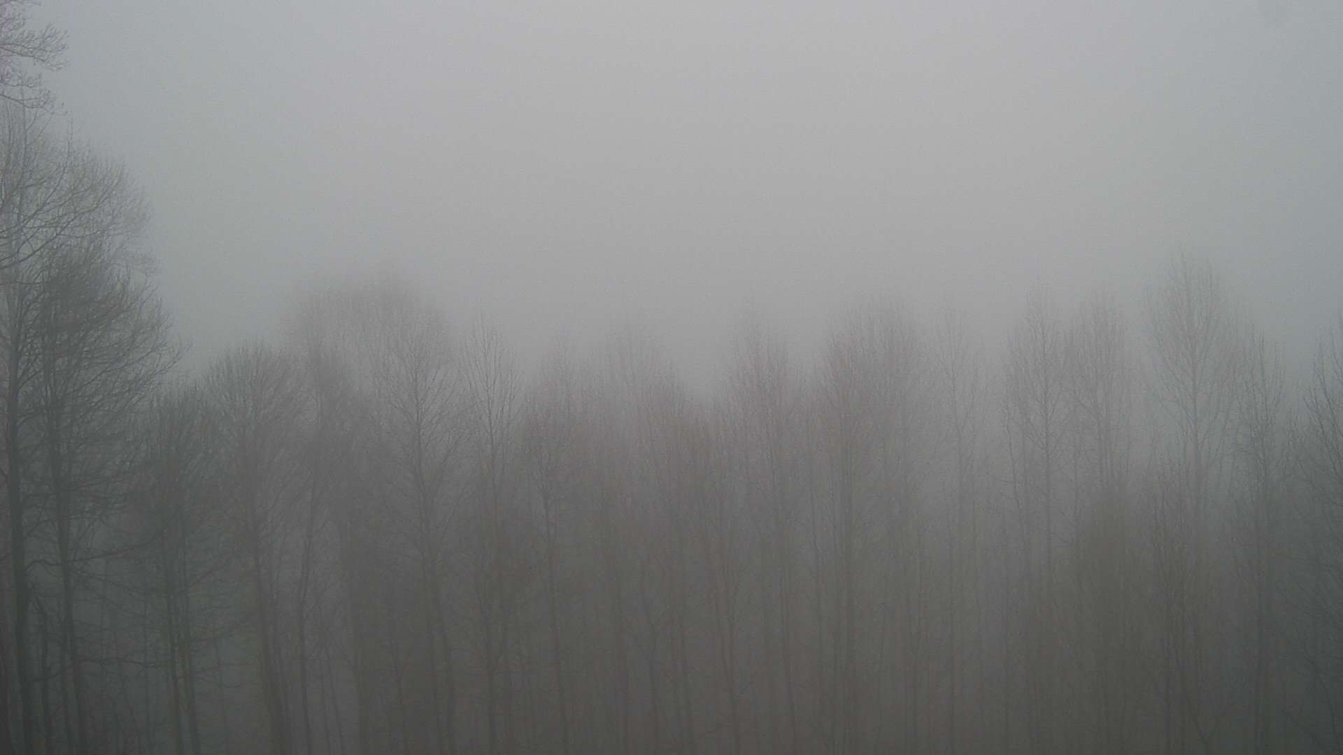 click for next image... slideshow image