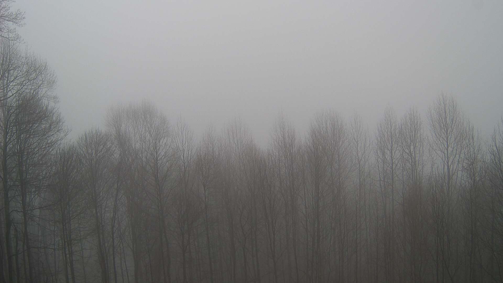 click for next image... slideshow image