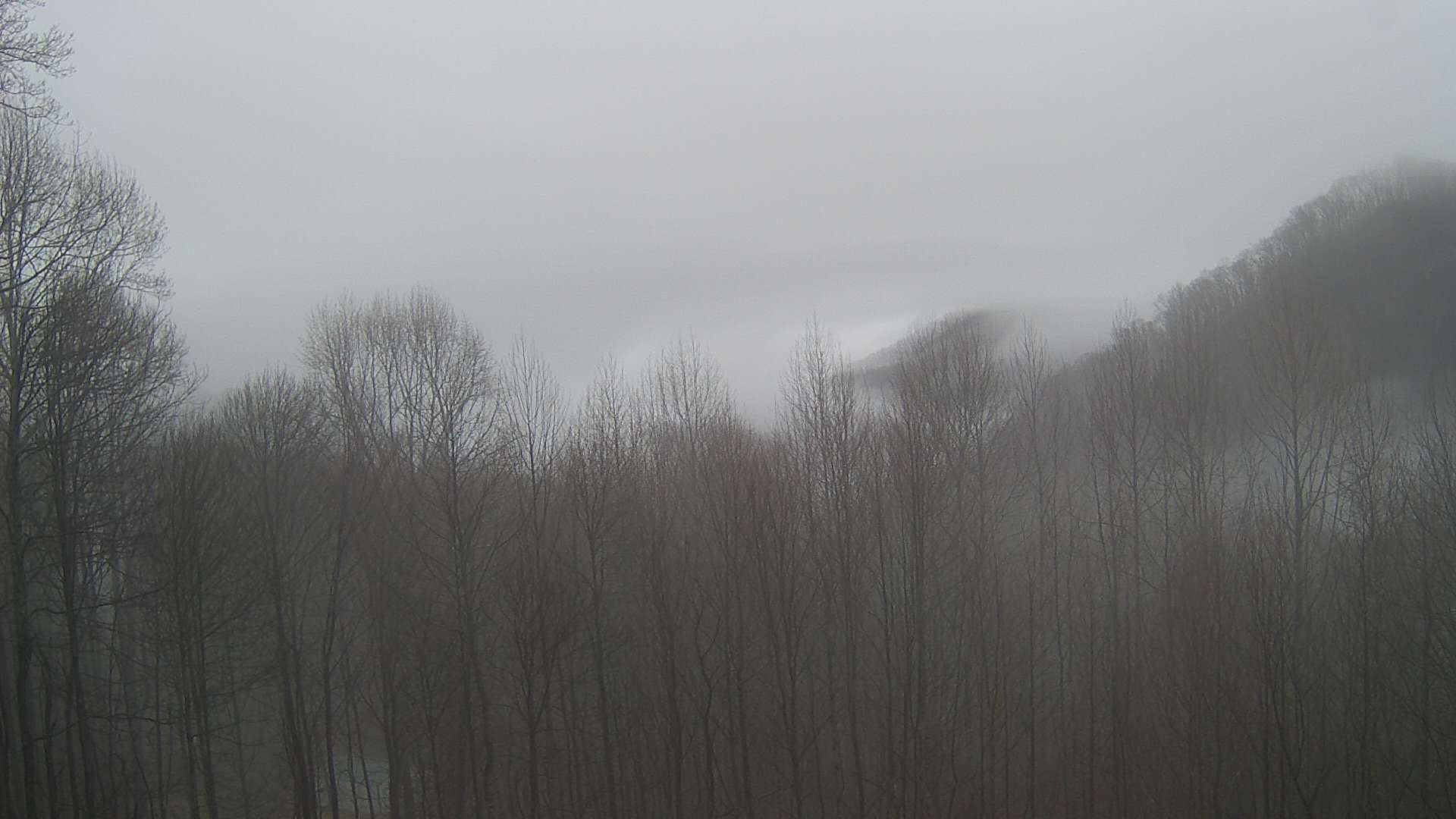 click for next image... slideshow image