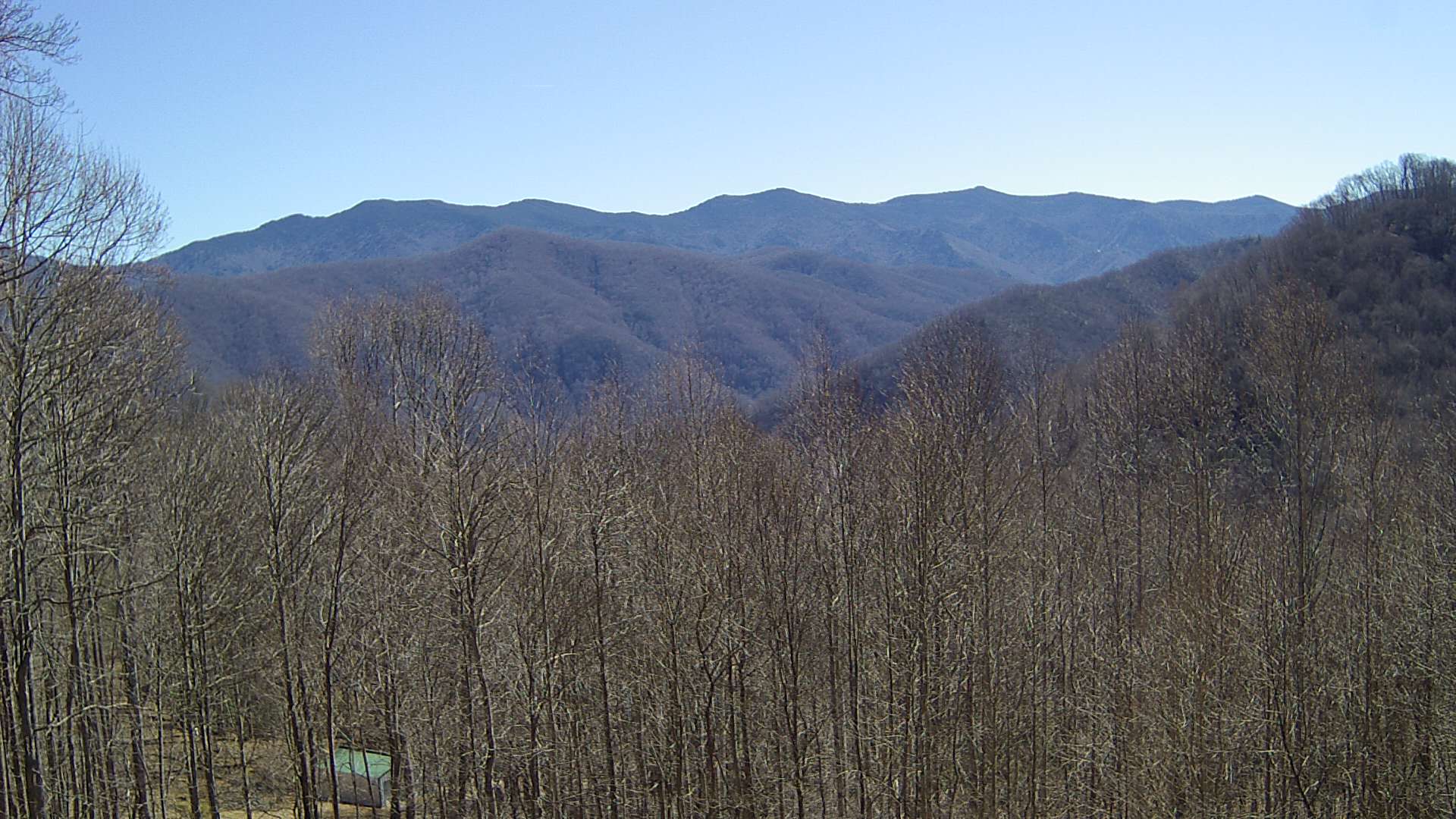 click for next image... slideshow image