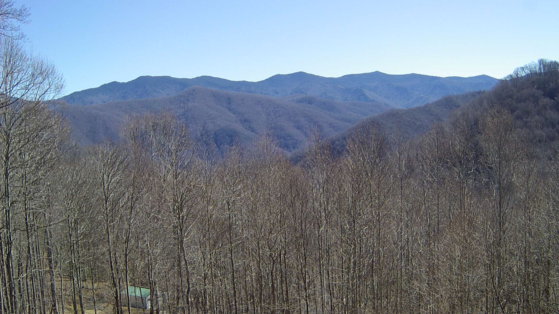 click for next image... slideshow image