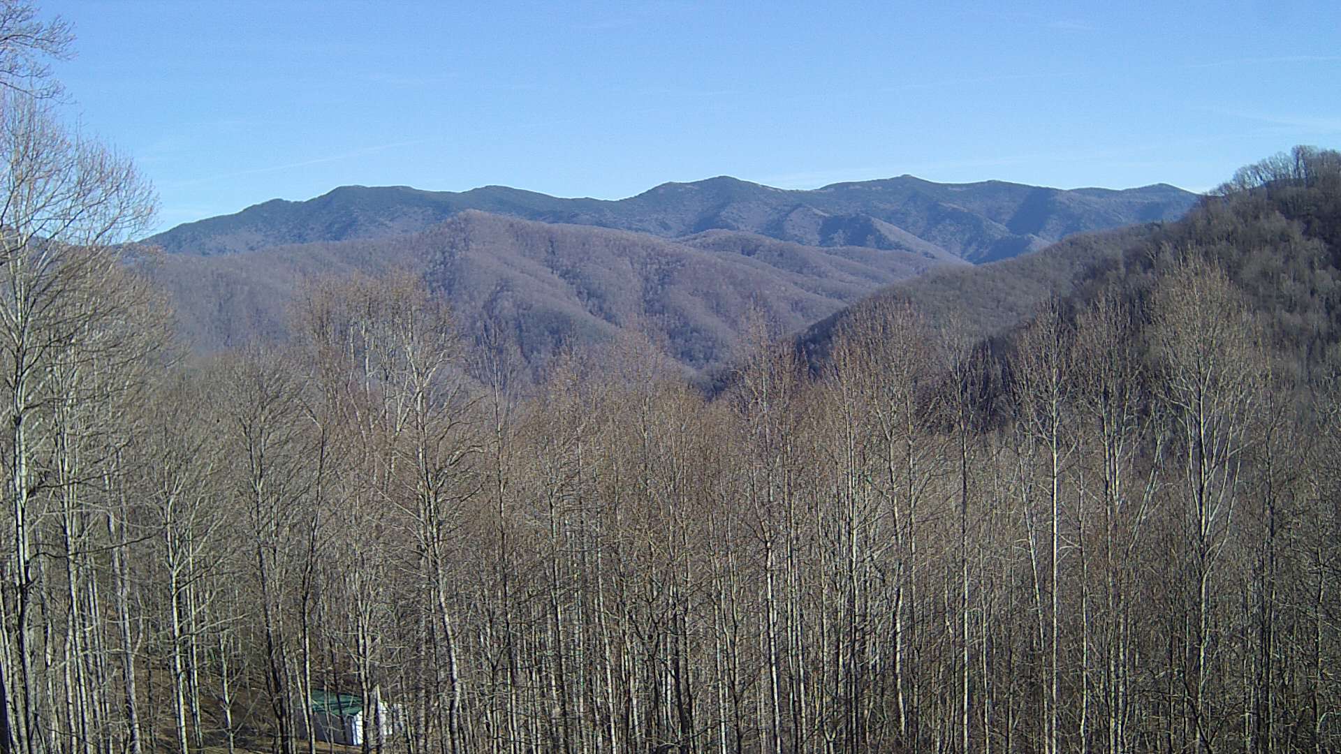 click for next image... slideshow image