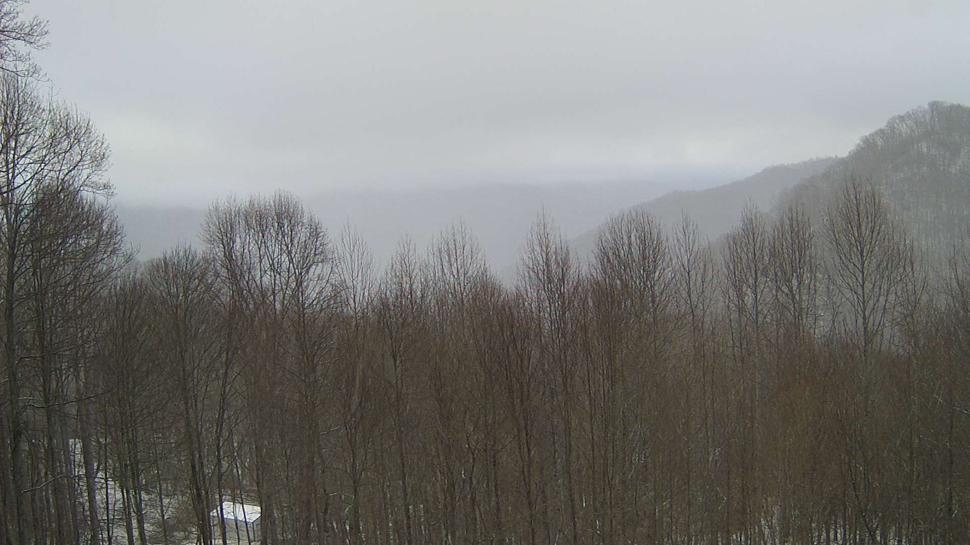 click for next image... slideshow image