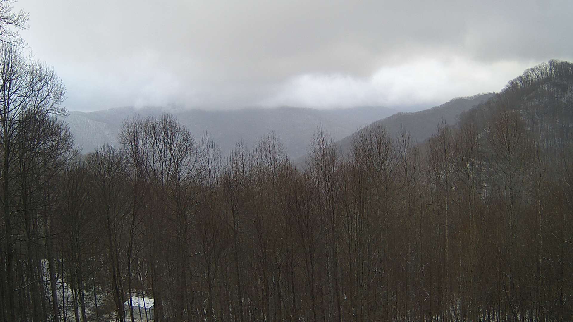 click for next image... slideshow image