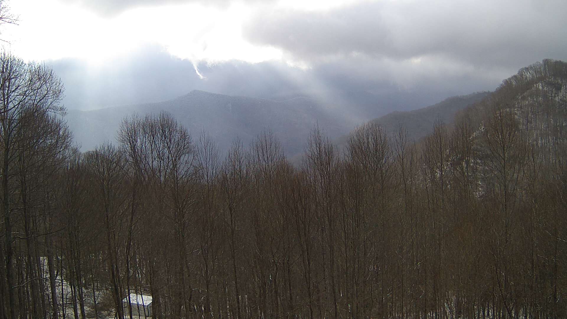 click for next image... slideshow image