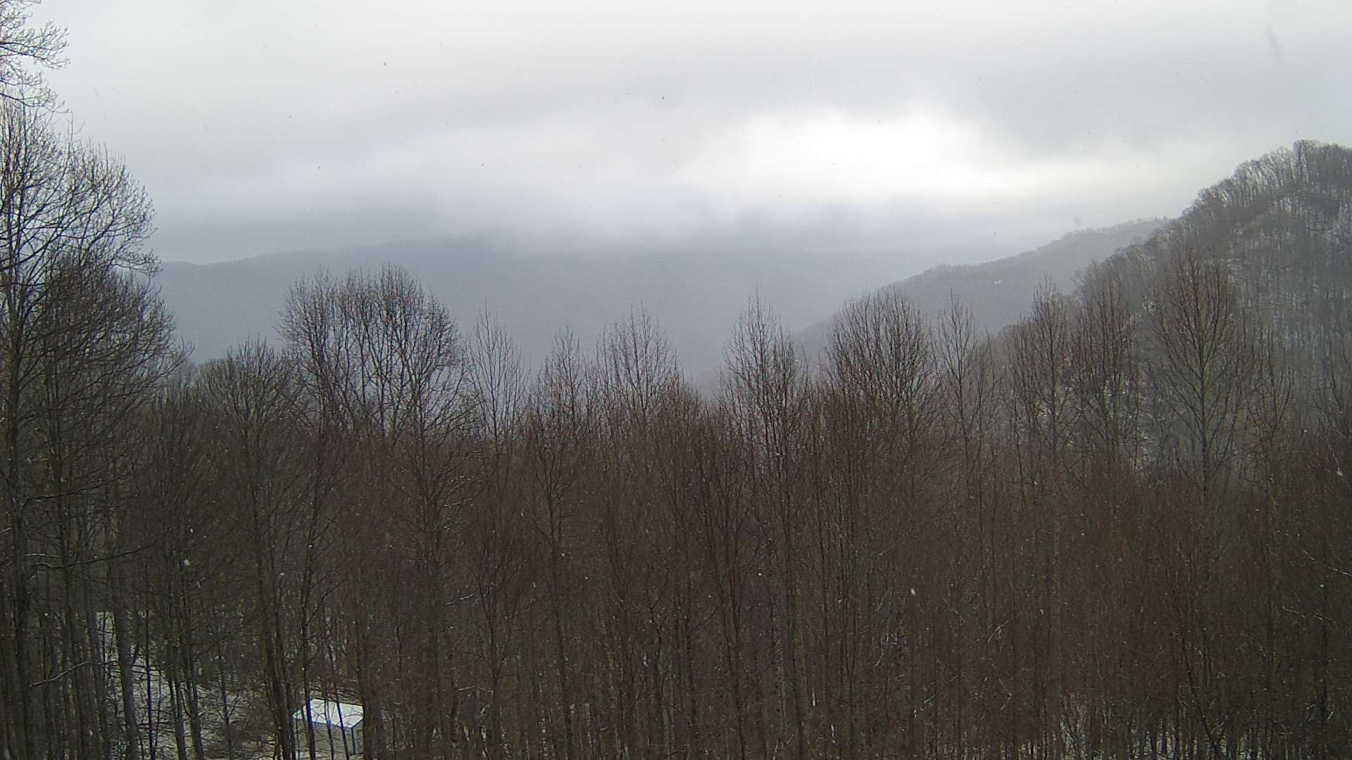 click for next image... slideshow image