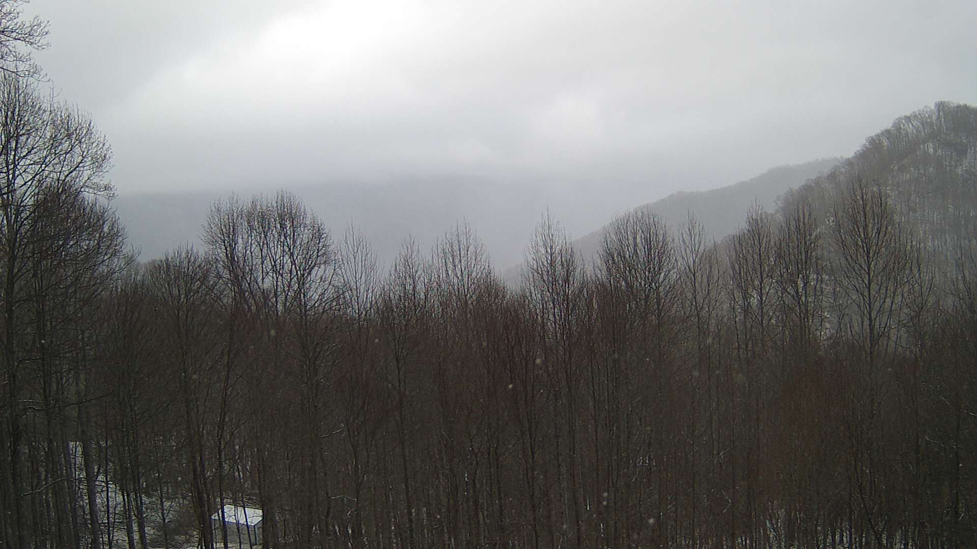 click for next image... slideshow image