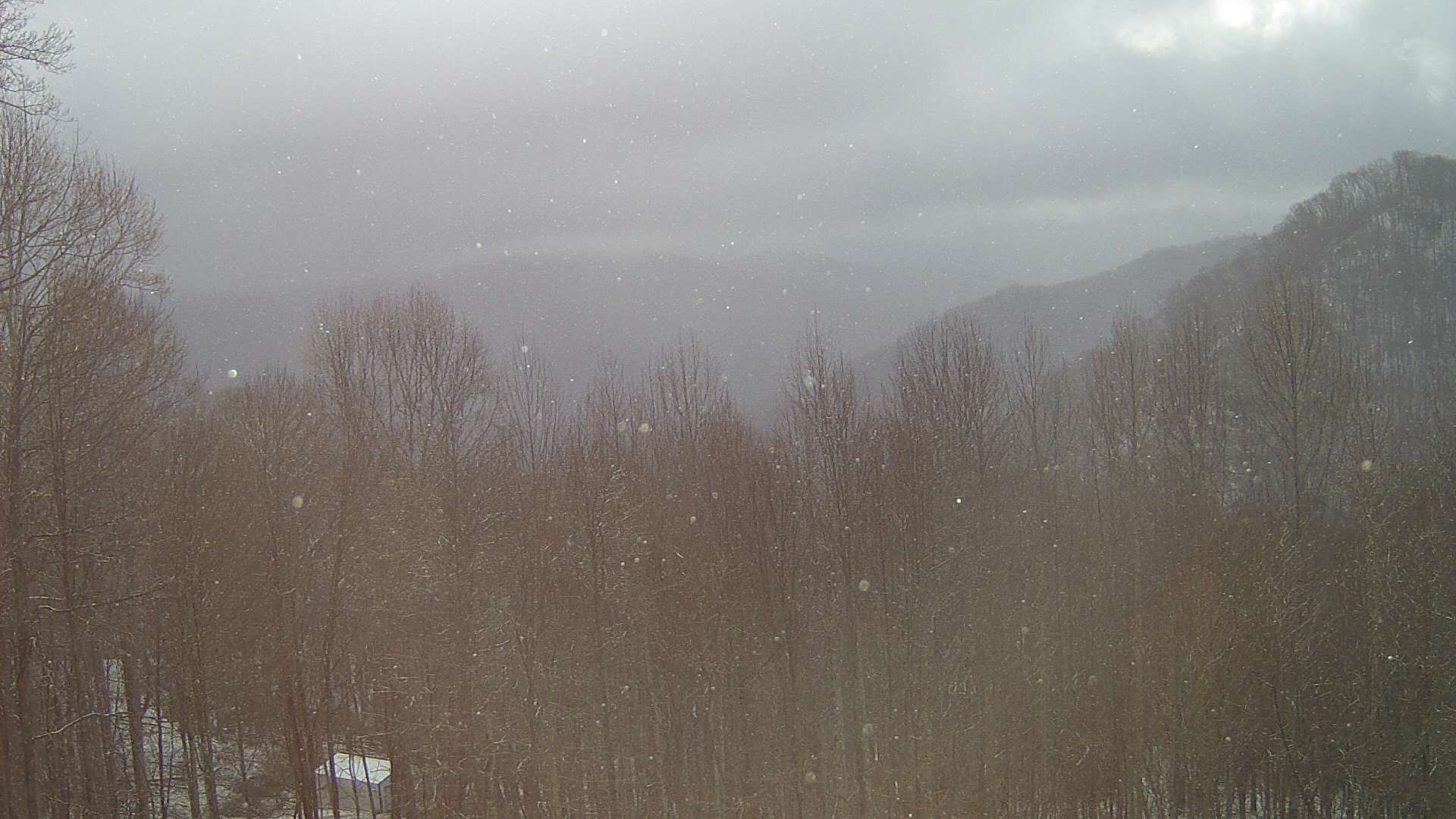 click for next image... slideshow image