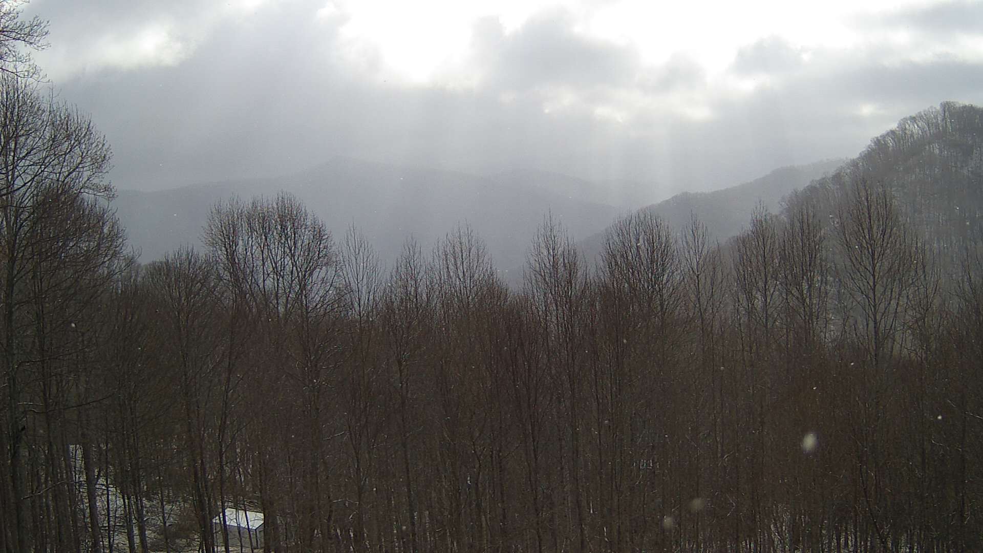 click for next image... slideshow image