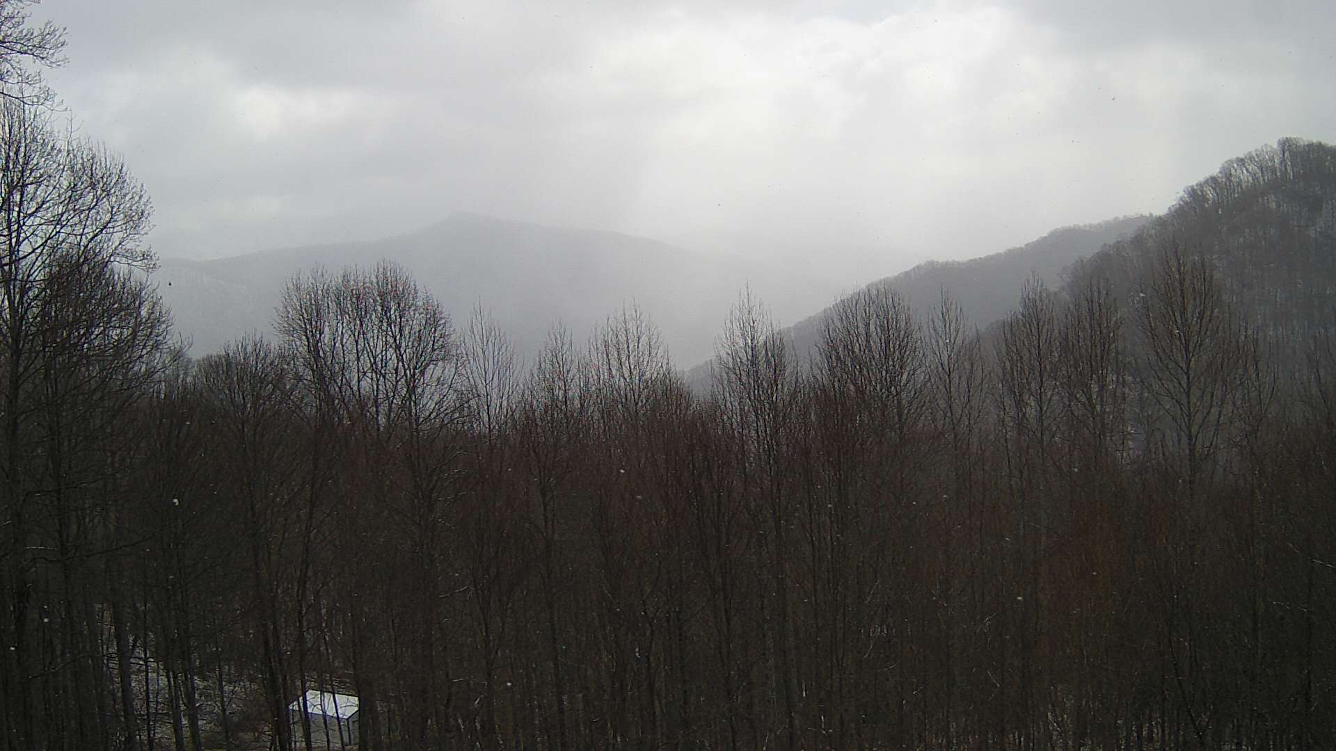 click for next image... slideshow image